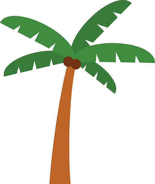 100+ Palm Tree Bending Illustrations, Royalty-Free Vector Graphics ...