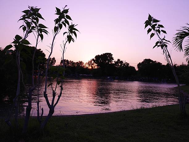 istock sunset in the park, bangkok, thailand 531168896