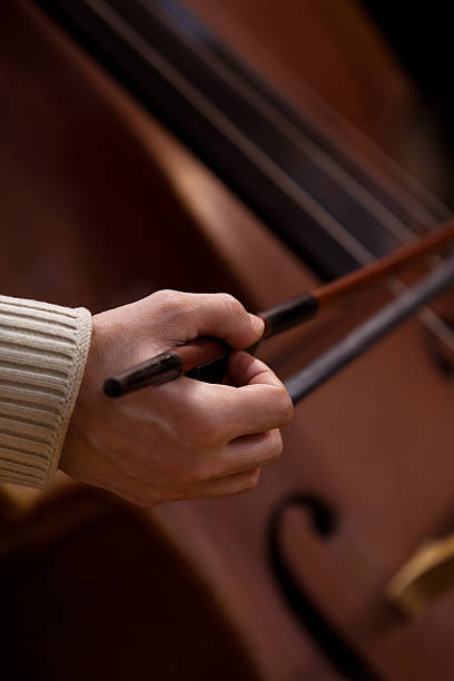 istock Musician hand playing the contrabass 531171620