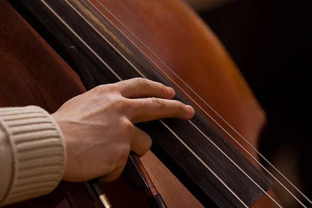 istock Musician's fingers on the strings contrabass 531171652