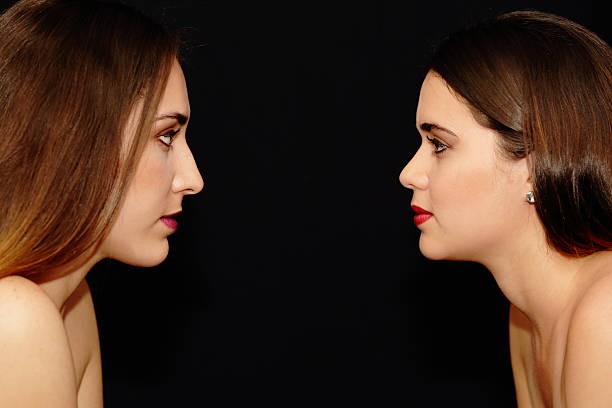 istock Ladies Portrait Facing Each Other 531172332