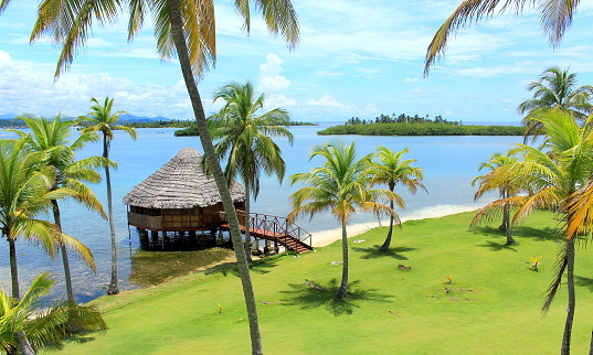 Aerial view of young  woman  balancing while walking on coconut palm tree on the beach