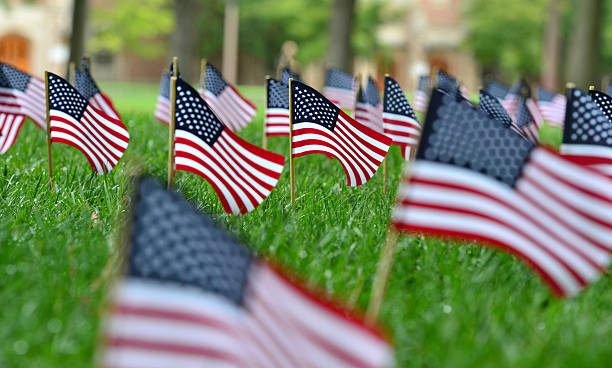 istock Field of American Flags 531174036
