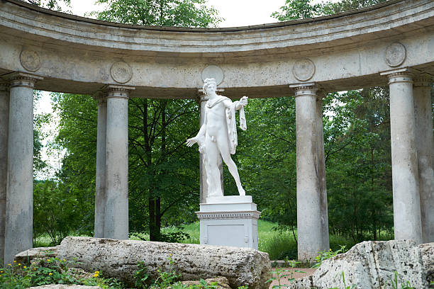 apollo colunata em palácio de pavlovsk, st. petersburg - forest colonnade tree old fashioned - fotografias e filmes do acervo