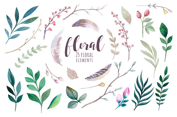 Watercolour boho flower set Watercolour boho flower set. Floral decoration Spring or summer season graphic. Watercolor leaf element Isolated on white. kruis stock pictures, royalty-free photos & images