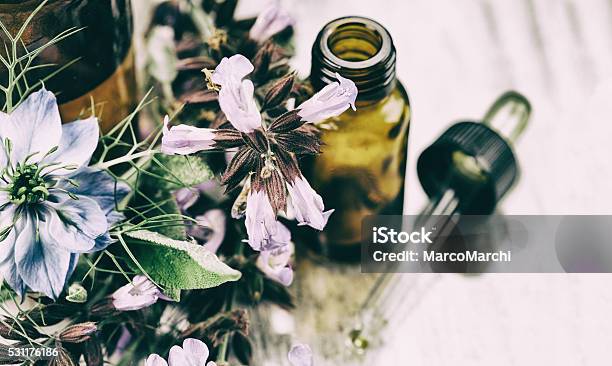 Herbal Medicine Stockfoto und mehr Bilder von Aromatherapie - Aromatherapie, Kräutermedizin, Aromaöl