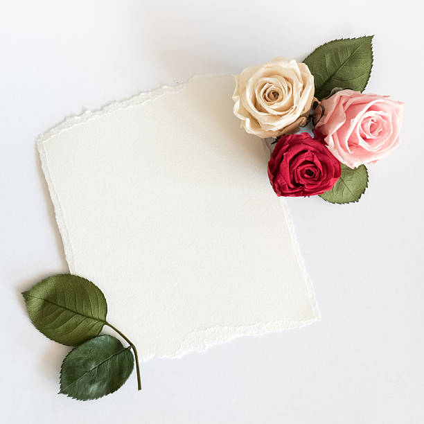 Roses and card on white background