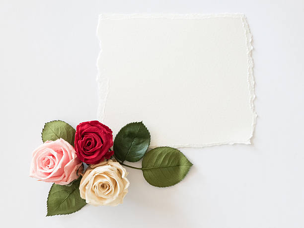 istock Roses and card on white background 531178764