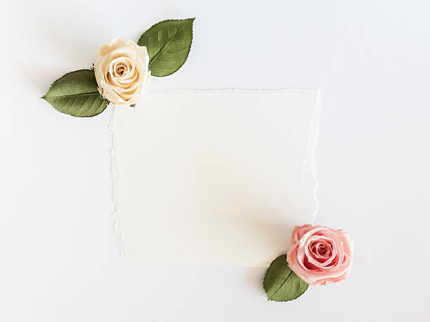 istock Roses and card on white background 531178798