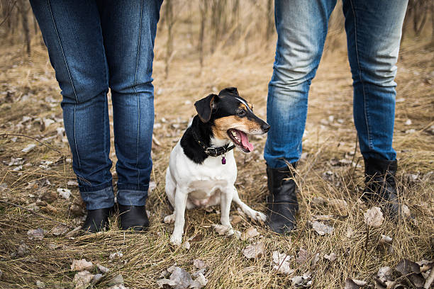istock Young couple standing together holding hands in spring forest 531178810