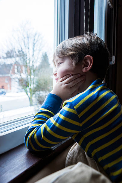 istock Looking out on a snowy street 531178839