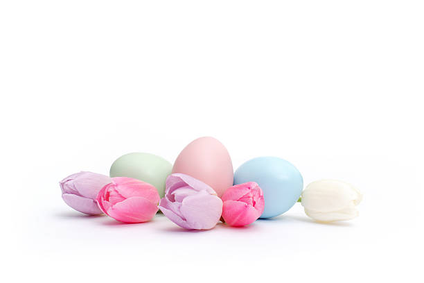 Pastel-coloured tulips and easter-eggs stock photo