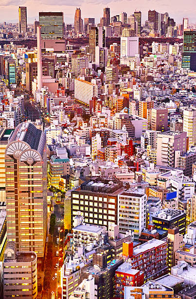 istock Evening view of Tokyo 531179173