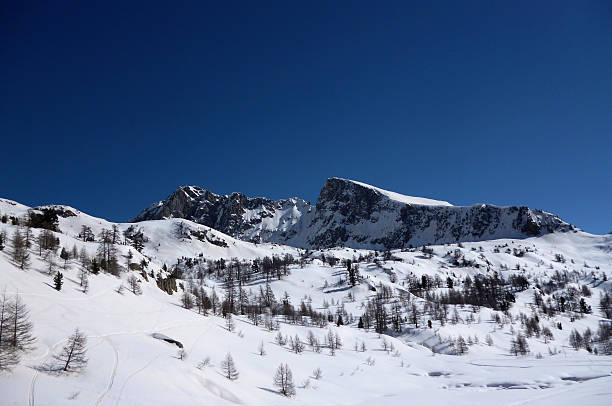 montagne enneigée - glisse zdjęcia i obrazy z banku zdjęć