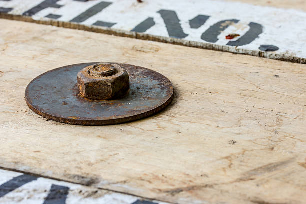istock Nut on a wooden floor 531184839