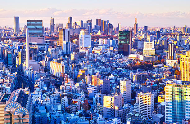 istock Evening view of Tokyo 531185649
