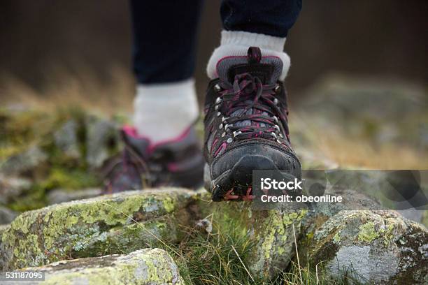 Mountain Trekking Boots Stock Photo - Download Image Now - Hiking Boot, 2015, Adult