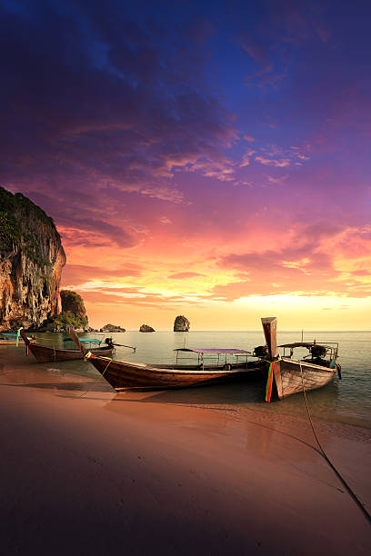 タイの楽園の島 - travel destinations vacations exoticism beauty in nature ストックフォトと画像