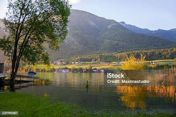 Lake Wolfgangsee Stock Photo - Download Image Now - 2015, Accidents and Disasters, Agricultural Field