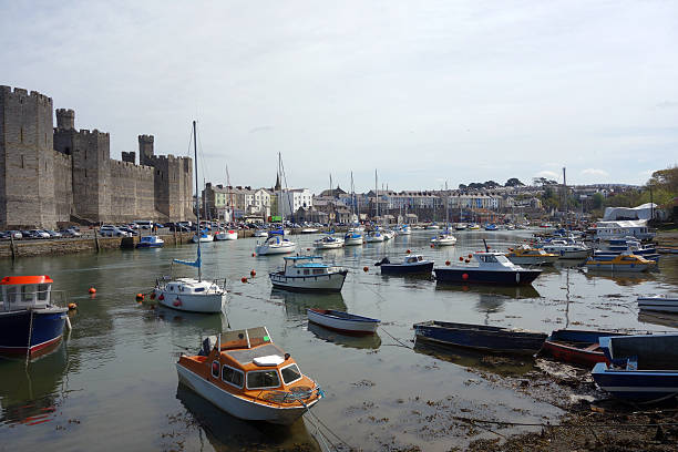 카나번 타운 및 성 - caenarvon castle caernarfon castle wales 뉴스 사진 이미지