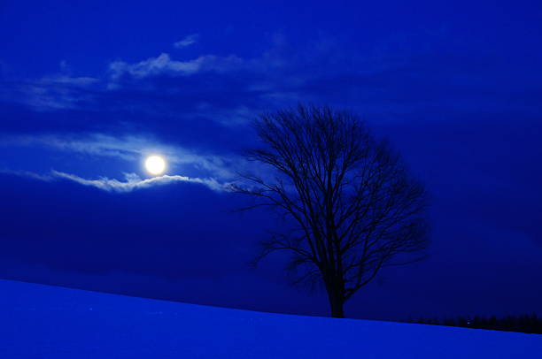 istock The full moon which climbs a hill of snow 531193238