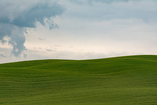 istock Tuscany hill in Val d'Orcia on a cloudy day 531194074