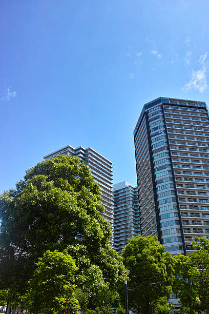istock Fresh green and high-rise apartment 531194200
