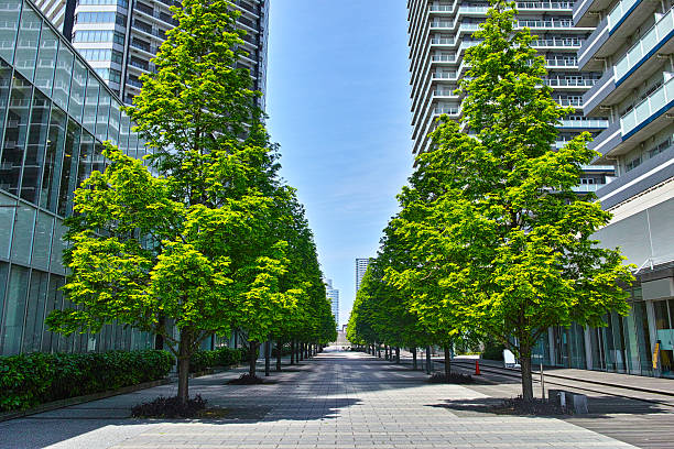 istock Fresh green and high-rise apartment 531194436