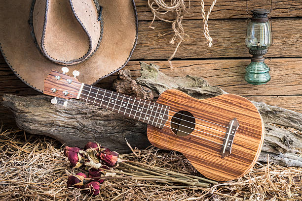 ukulele und trocken rosen mit cowboy-hut auf scheune hintergrund - wild west audio stock-fotos und bilder