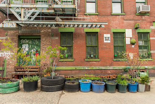 New York City, United States - April 23, 2016: House with plants in front of it in Williamsburg, Brooklyn.