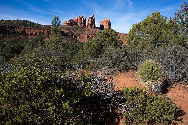 istock desert landscape with cathedral rock in the background 531196358