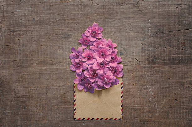 beautiful flowers in the old envelope beautiful flowers in the vintage envelope on old wooden table prom invite stock pictures, royalty-free photos & images