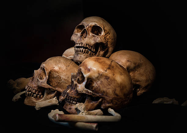 Pile of skulls and animal bones on black fabric background. Genocides concept still life style.