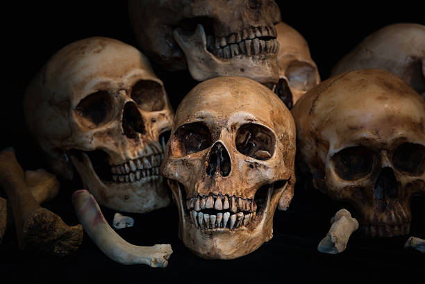 istock Closeup Pile of skulls and bones on black fabric 531197130