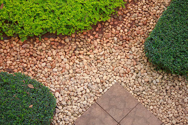 istock Stone walkway in the park with green grass 531208671