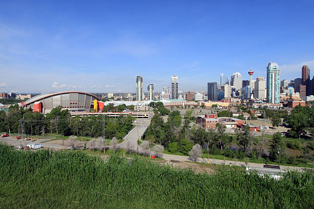 Calgary Calgary, Canada - June 13, 2011: The Skyline of Calgary - the capital of Alberta. You can see many Skyscrapers and the Calgary Tower. On the left side the Scotiabank Saddledome, which is home to the Calgary Flames NHL club. scotiabank saddledome stock pictures, royalty-free photos & images