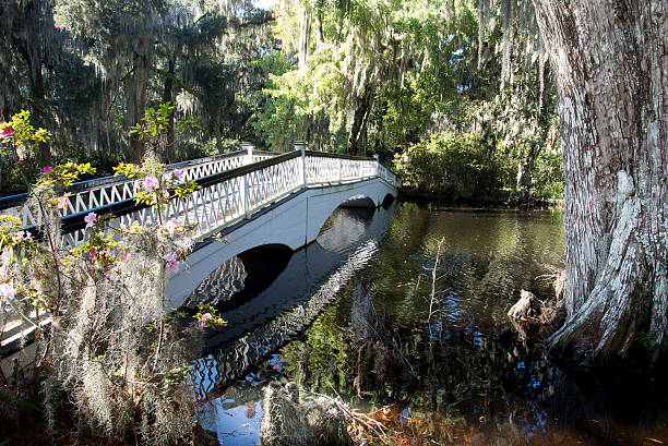 istock White bridge over a swamp 531211845