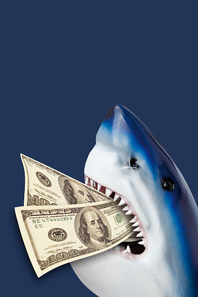 istock Shark with 100 USD in mouth. 531212191