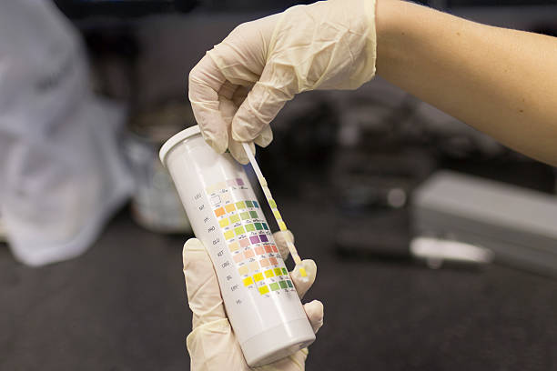 istock Veterinary nurse performing a urine analysis 531212925