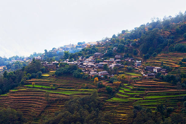 ghandruk village, nepal - nepal landscape hiking rice imagens e fotografias de stock