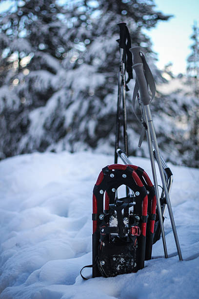 Snowshoes in snow bank stock photo