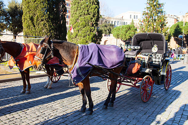 Rome - Carriage carried by horses at Coliseum