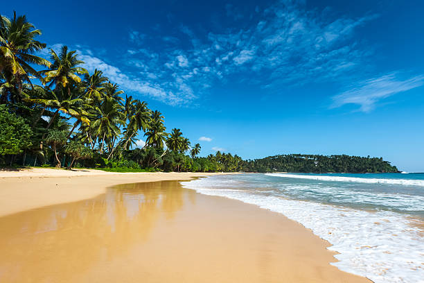 のどかなビーチ。スリランカ - sri lanka ストックフォトと画像