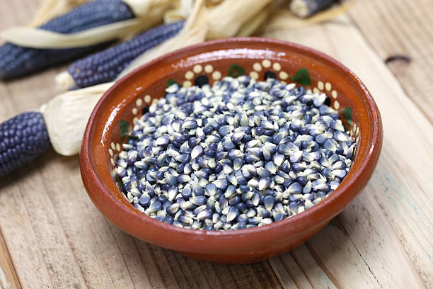 blue corn blue corn, mexican cuisine ingredient hopi culture photos stock pictures, royalty-free photos & images