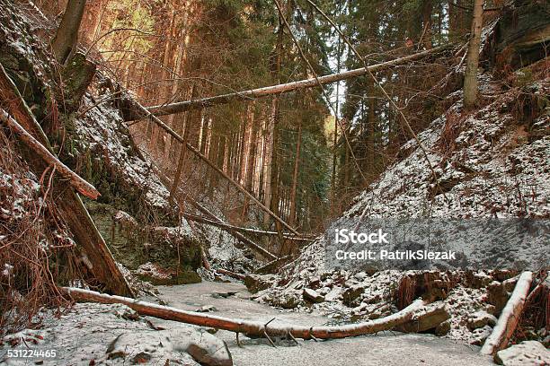 Fallen Tree On Creek In Valley In Winter After Storm Stock Photo - Download Image Now