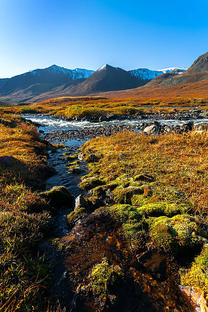 istock sunrise and mountains with the river 531226225