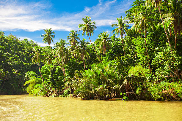 istock Tropical Loboc river, blue sky, Bohol Island, Philippines 531226239