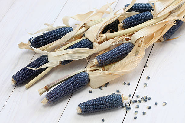 blue corn - hopi stock-fotos und bilder
