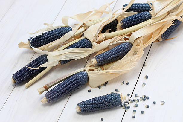 blue corn blue corn, mexican cuisine ingredient hopi culture photos stock pictures, royalty-free photos & images