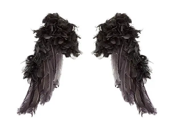 Photo of Dark angel wings